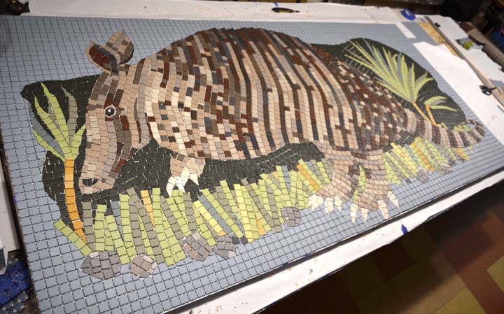 armadillo mosaic