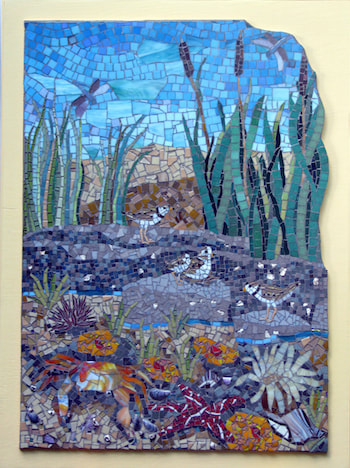tidal pool mosaic